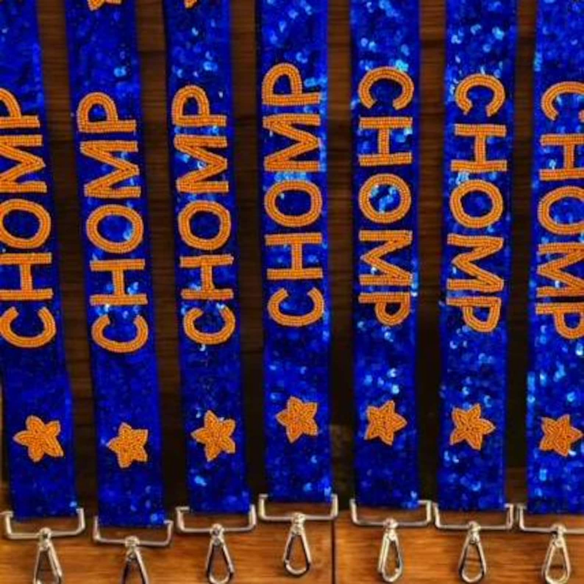 Game day purse strap Sequin gameday strap Stadium purse strap Go noles Strap Gameday accessory College bag strap Florida State sequin strap